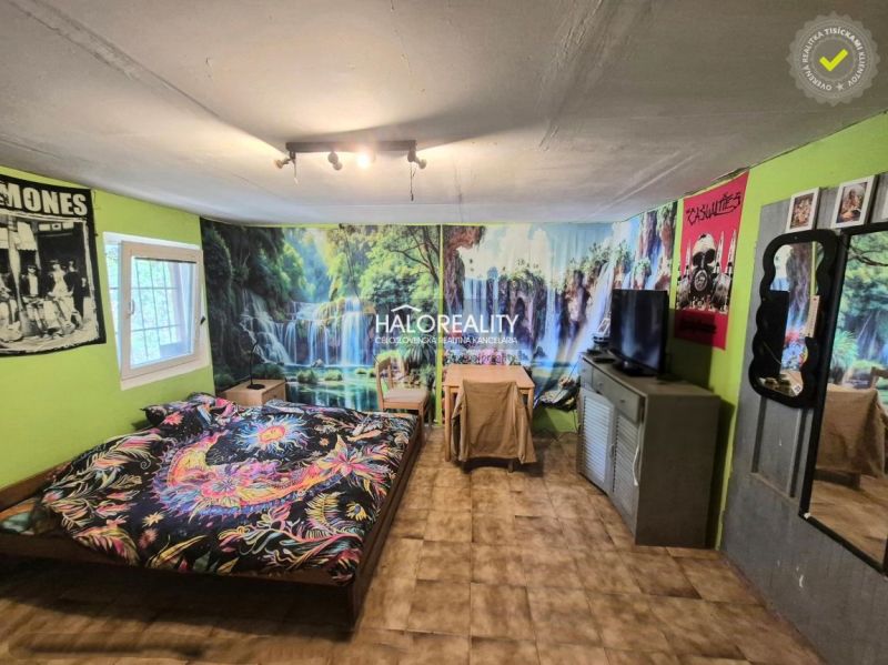 A room with green walls, colorful decorations, and a television on the floor in the Gardens.