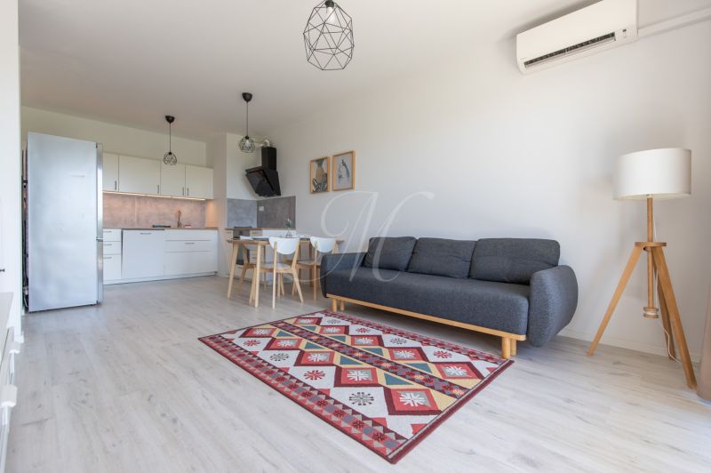 Living room with kitchen, gray sofa, wooden decor flooring, colorful carpet, dining table.