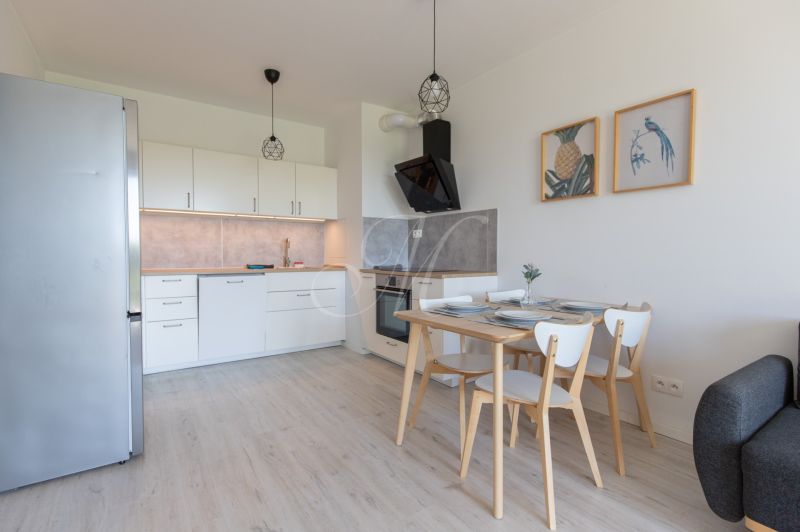 A kitchen in a 2-room apartment with a wooden decor floor and wall paintings.