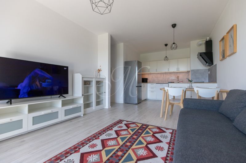 Living room with a TV, sofa, kitchen, and decorative carpet in a 2-room apartment.