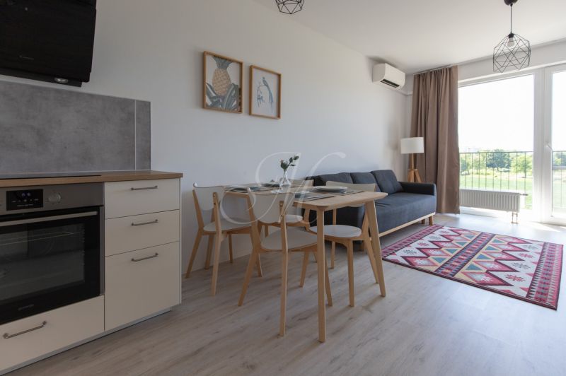 Kitchen and living room in a 2-room apartment with a dining table, sofa, and balcony.