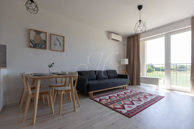 Living room in a two-room apartment with a sofa, dining table, and wooden decor flooring.