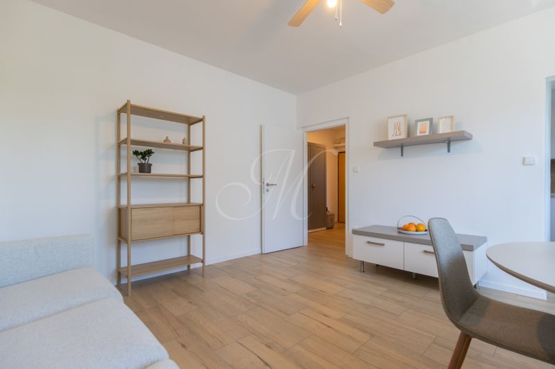 Living room with wood-patterned flooring, shelves, and a chair in a two-room apartment.
