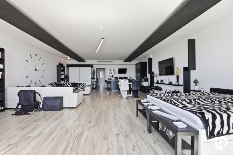 A spacious living room in a 2-room apartment with a wooden decor floor and a zebra motif.