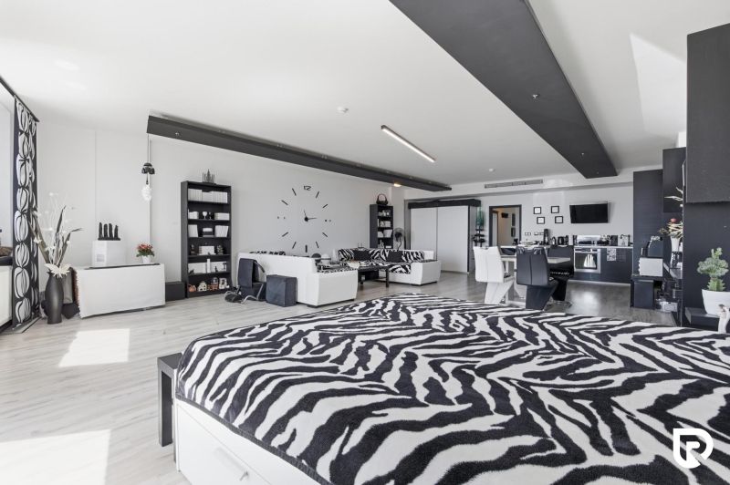 Spacious interior of a 2-room apartment with a wooden decor floor and zebra pattern.