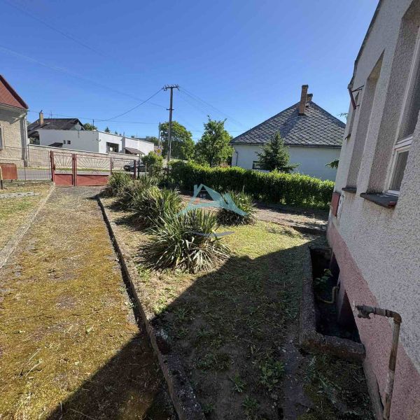 Garden and driveway at the commercial premises on Ľudovíta Štúra in Šahy.