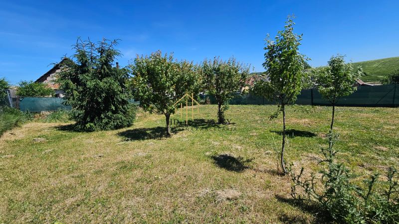 A garden at a family house in Demandice with a lawn and several trees.