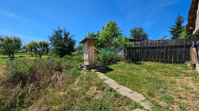 A garden at a family house in Demandice with fruit trees and natural vegetation.
