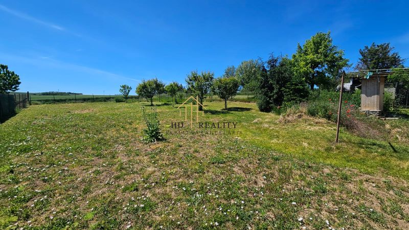 A garden at a family house in Demandice with fruit trees and a lawn.