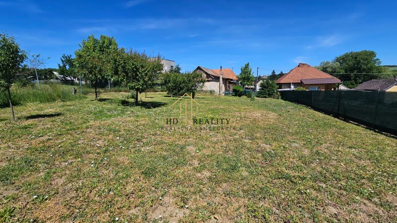A garden with a lawn and trees around a family house in Demandice.