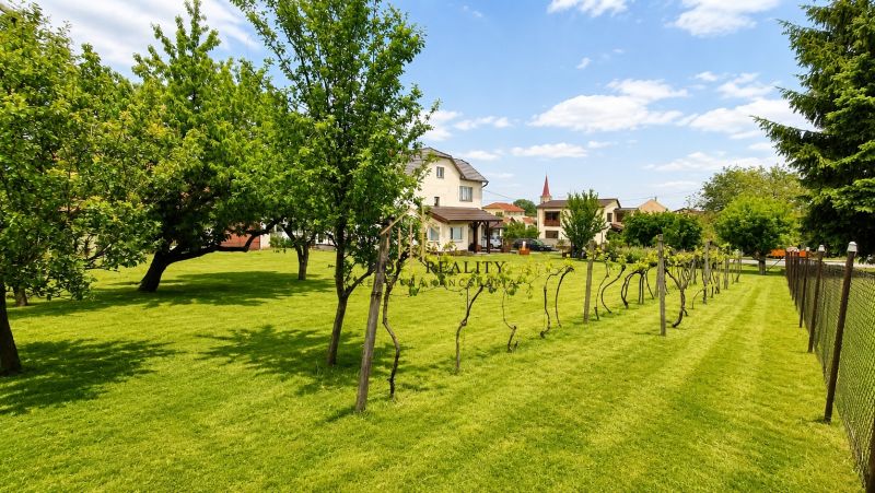 A family house in Sebechleby surrounded by a garden with fruit trees and vineyards.