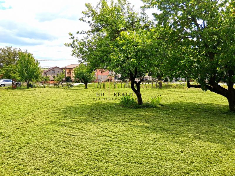 A garden of a family house in Sebechleby with trees and mowed lawn.