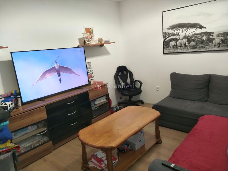 Living room in a 2-room apartment with a wooden decor floor, television, and sofa.