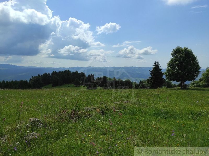 A flowering meadow in the gardens in Hriňová with panoramic views of the hills.