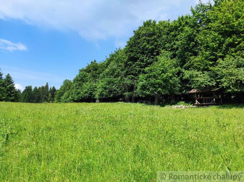 The greenery of the garden in Hriňová with a wooden gazebo by the forest.