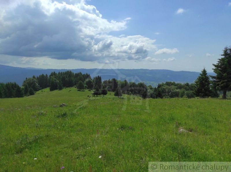 A green meadow and forests in Záhrady near Hriňová under a blue sky.