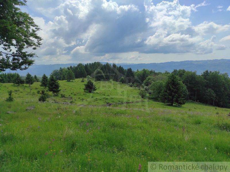 Green meadows and trees in the Gardens near Hriňová, under a blue cloudy sky.