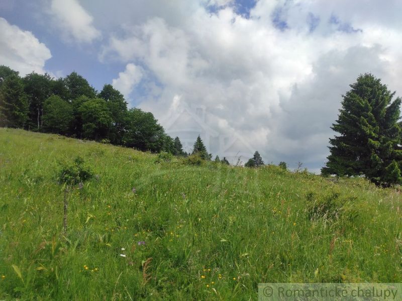 Green meadow and forests in the Gardens of Hriňová under a sky with clouds.
