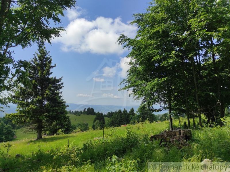 Greenery and trees in the Gardens near Hriňová, with a view of distant hills.