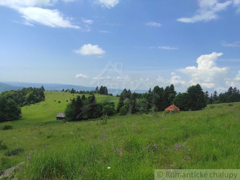Meadows in Hriňová with blooming grass and rural buildings on the horizon.