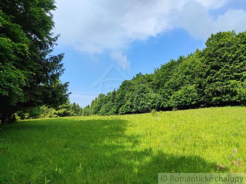 A green meadow surrounded by forests in Záhrady in Hriňová under a blue sky.