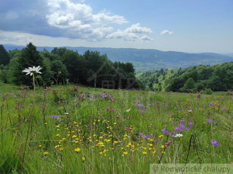 A flower meadow in the Gardens in Hriňová with a panoramic view of hills and trees.