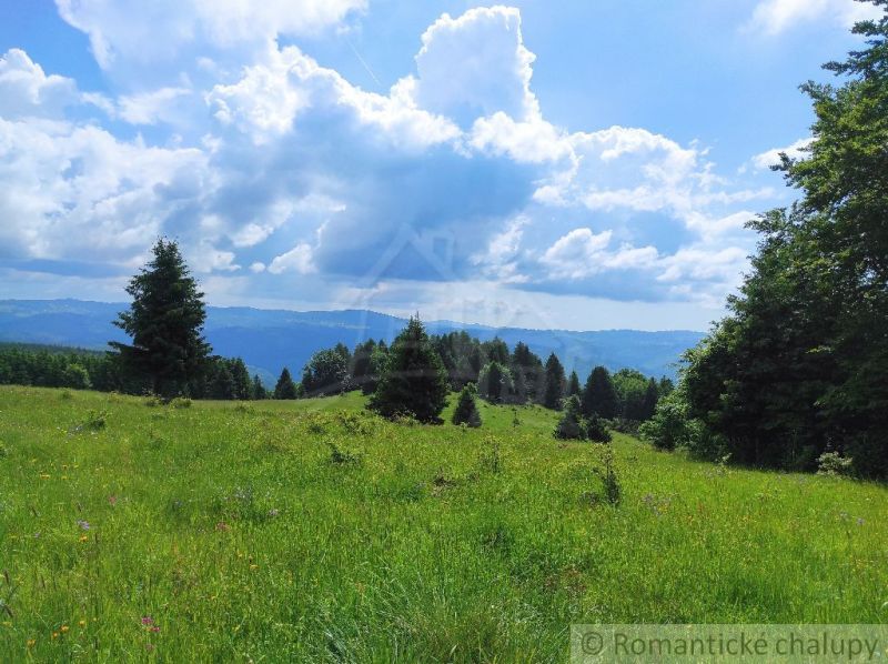 An area with trees and a meadow in the gardens of Hriňová under a blue sky with clouds.