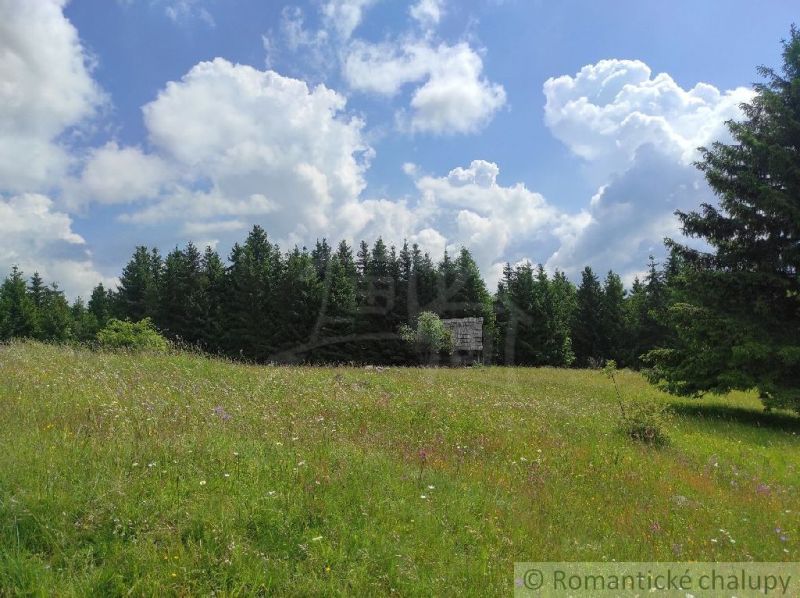 A meadow with flowers surrounded by a forest in the Gardens in Hriňová under a blue sky.