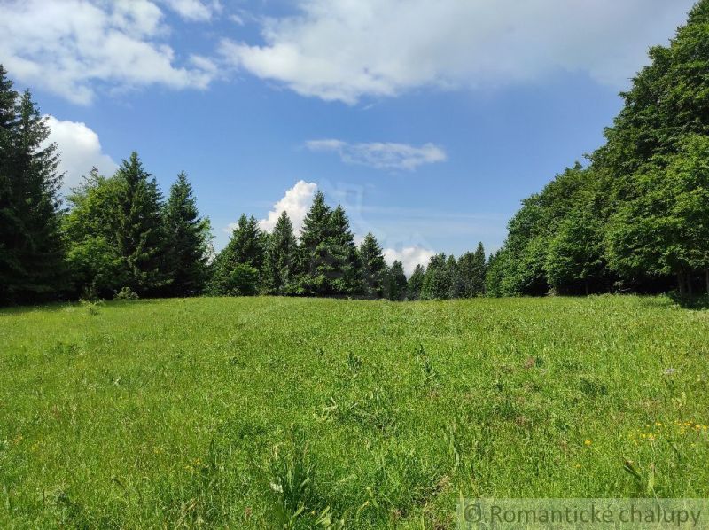 A green meadow surrounded by forests in the area of Záhrady near Hriňová under a blue sky.