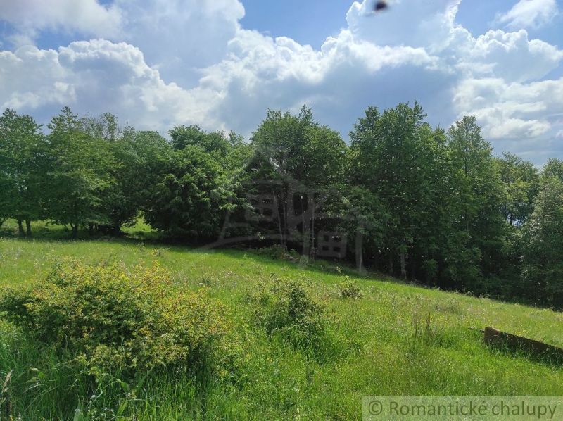 Gardens in Hriňová with a forest, grassy meadow, and clouds in the blue sky.