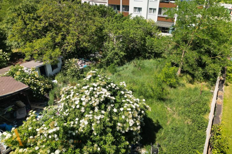 A garden with lush vegetation and a cottage in Dunajská Lužná, Land - residential.