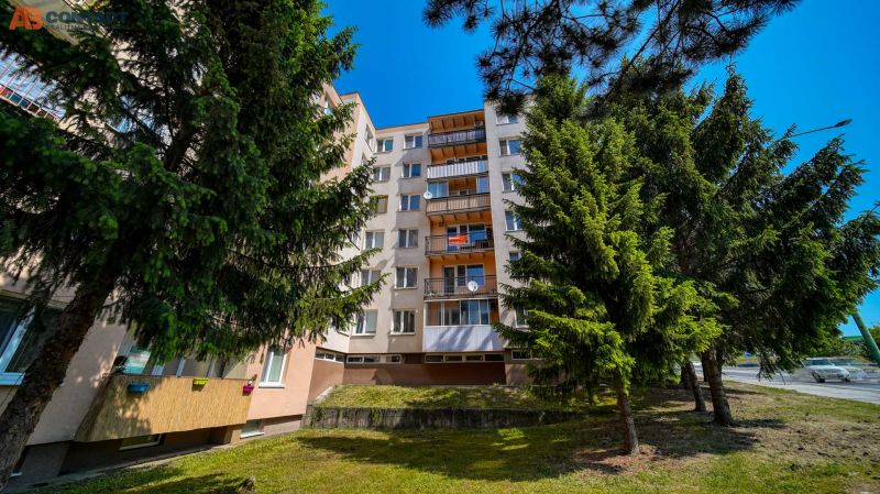The apartment building on Viestova Street in Myjava, surrounded by trees, offers 4-room accommodation.