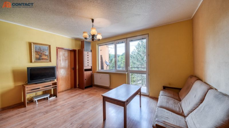 Living room with a sofa, a television on the floor with a wooden decor in a 4-room apartment.
