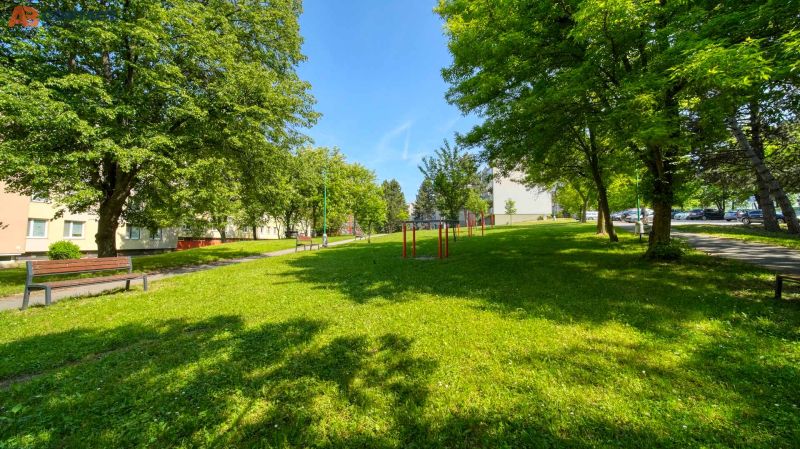 Greenery and benches on Viestova Street in Myjava near a 4-room apartment.