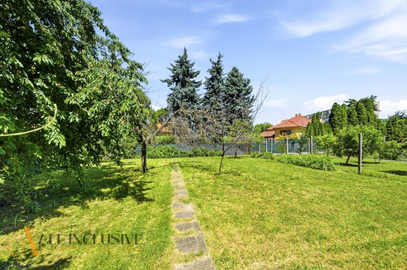 A garden of a family house in Dunajská Streda with a lawn, trees, and a walkway.