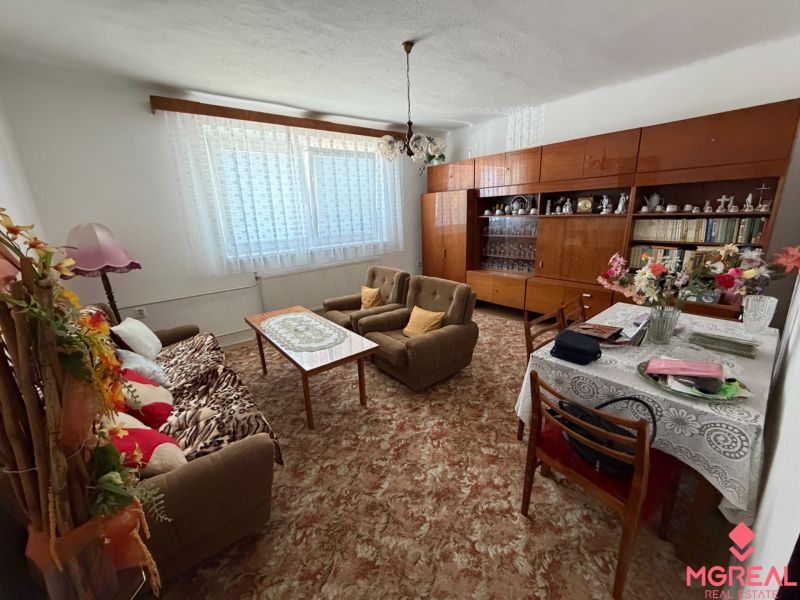 Living room in a family house with a carpet, cabinet, and plants, equipped with a sofa and a table.