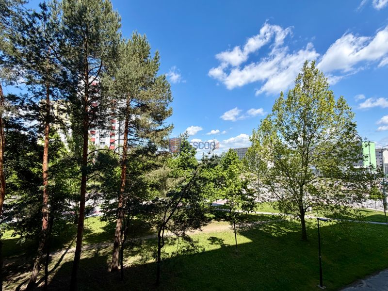 A park with tall trees surrounding a 4-room apartment on Pri kríži Street, Bratislava-Dúbravka.