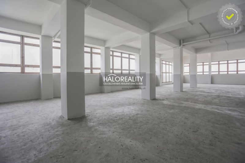 Spacious production areas with large windows and concrete flooring.