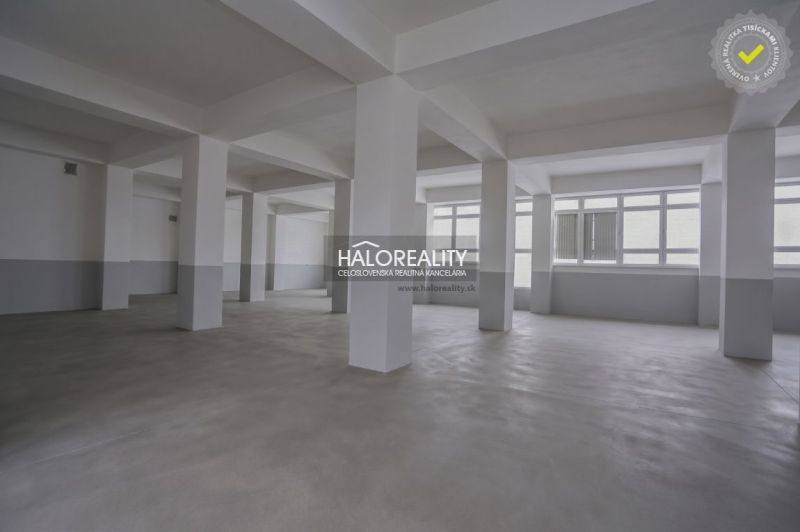 Basement production facility interior with concrete floor and large windows.