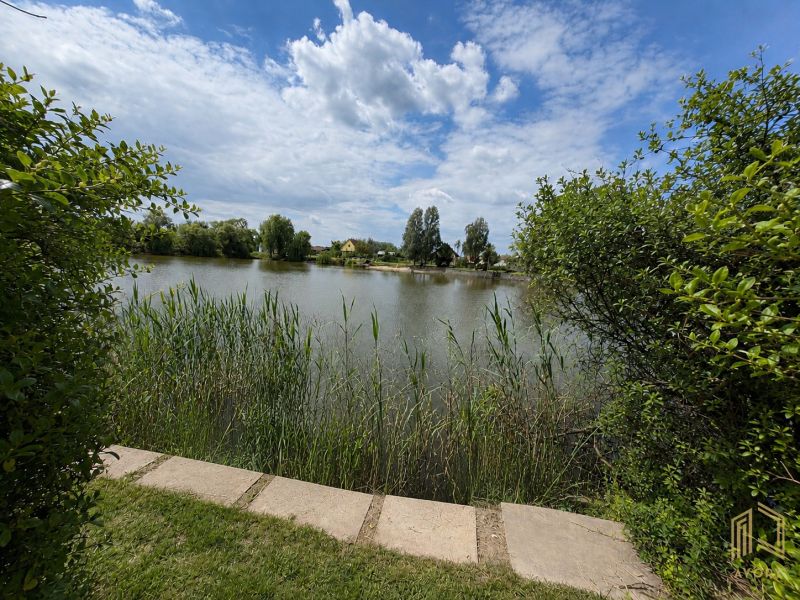 A lake surrounded by greenery and reeds in Kopčany near the cottage.