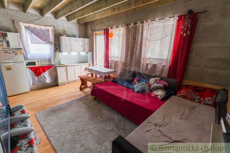 Interior of a cabin with a kitchenette, sofas, and a wooden decor floor.