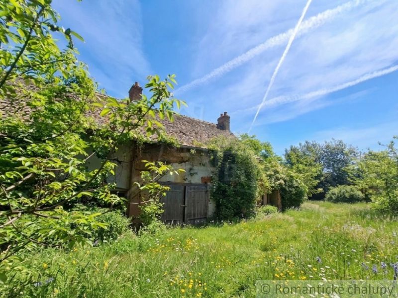 An overgrown family house in Ozdín surrounded by nature and a blue sky.