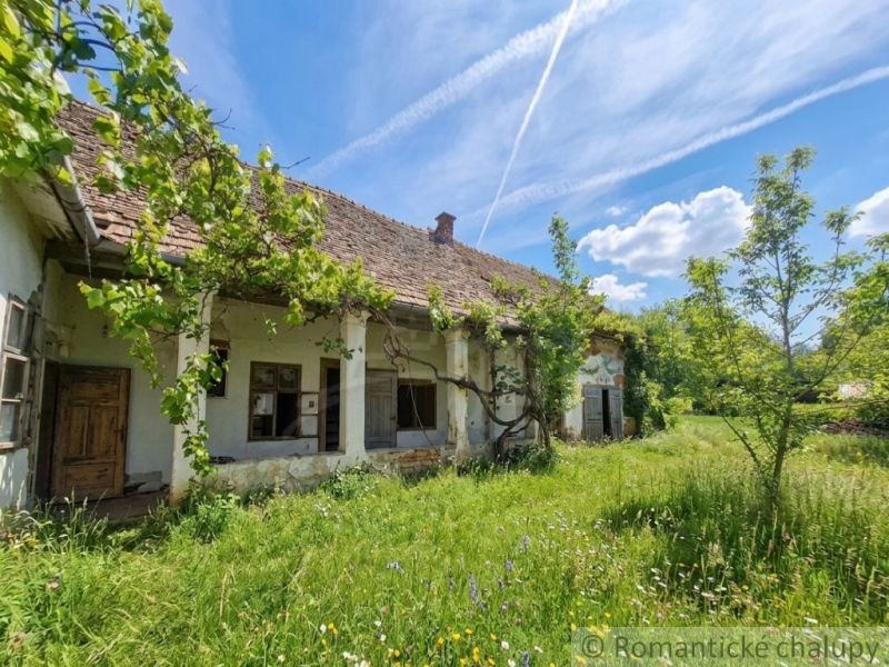 An older family house in Ozdín, covered with vines, surrounded by a grassy garden.