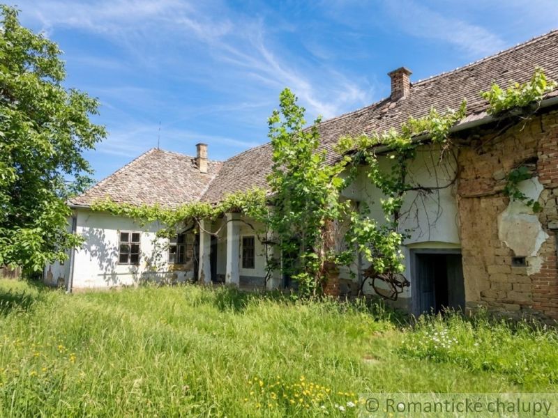 An old family house in Ozdín surrounded by green grass and vineyards.