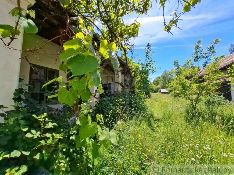 A family house in Ozdín with lush vegetation and older buildings in the background.