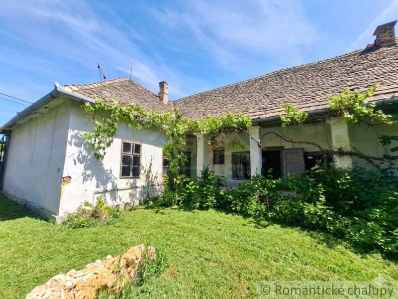 A family house in Ozdín with traditional architecture, a garden, and climbing plants.