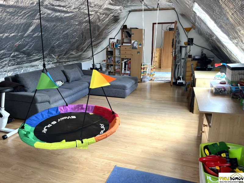 Attic playroom in a family house with a swing, sofa, and wooden decor flooring.