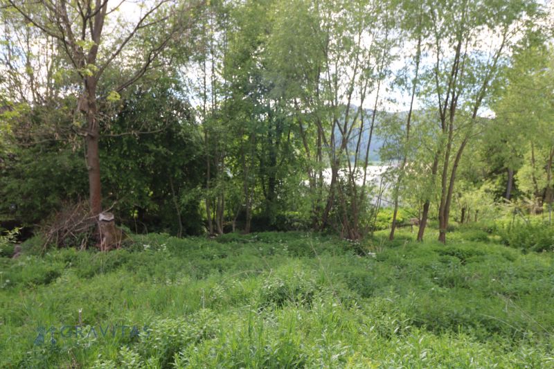 Greenery and trees in Žaškov on Matúšovská, an ideal place for building houses.