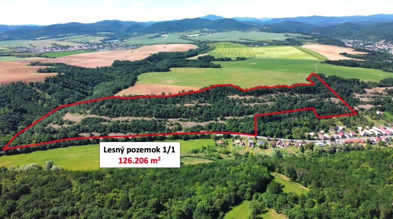 Aerial view of agricultural and forest lands in Domaníky surrounded by forests and fields.