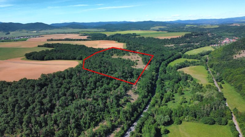 A forested area and agricultural land in Domaníky with a marked territory.